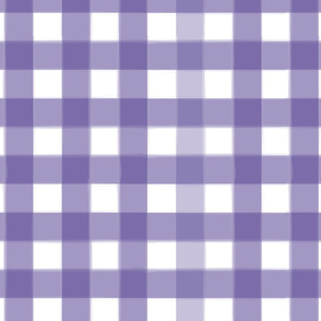 brushed wide gingham indigo purple