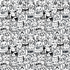 Crowd of Cats