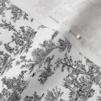 Tiny Toile Black