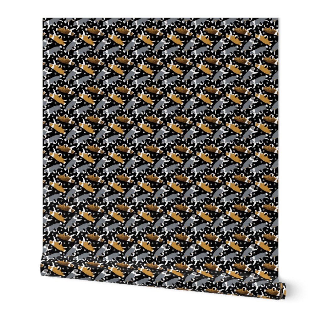 Tiny Trotting Border Collies and paw prints C - black