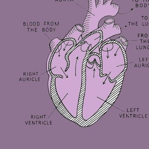 mauve and pink anatomical hearts