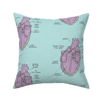 anatomical hearts in teal