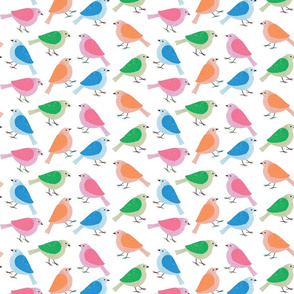 Colourful Birds