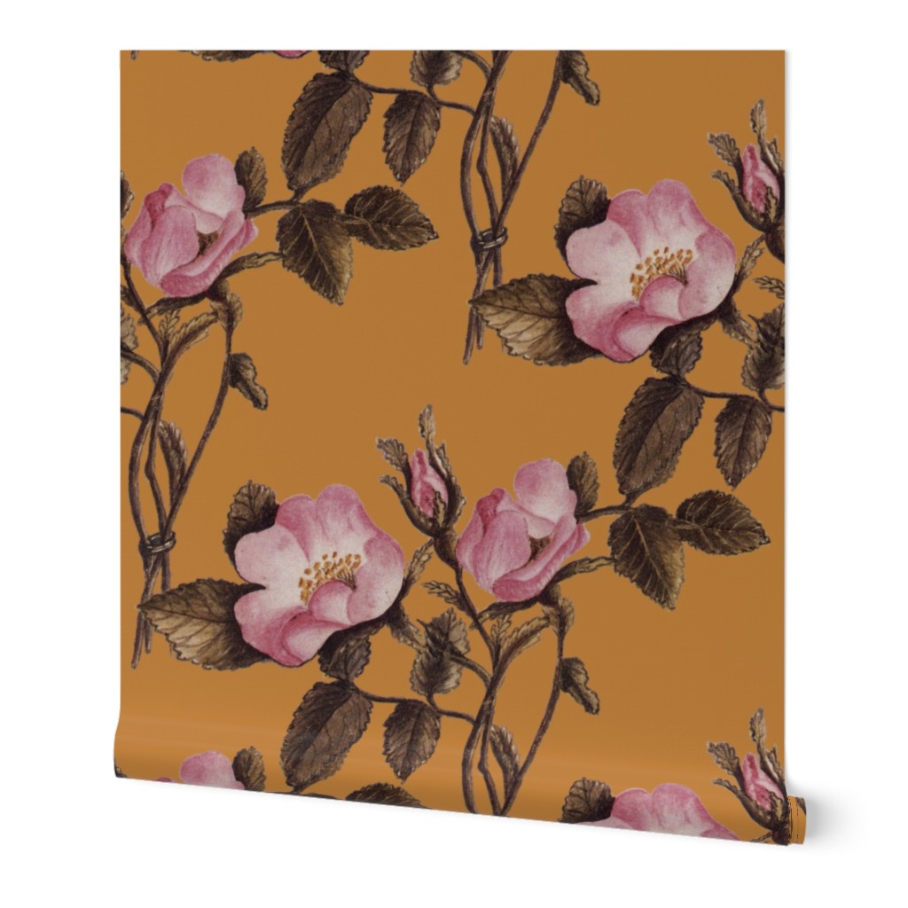 Charlotte Bronte's Wild Roses on Gold