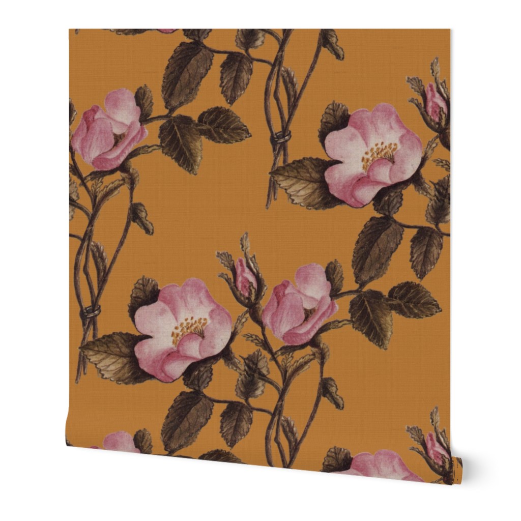 Charlotte Bronte's Wild Roses on Gold