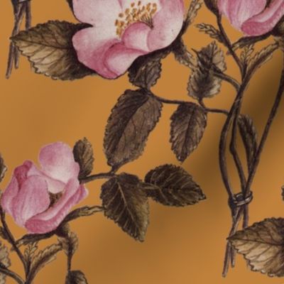 Charlotte Bronte's Wild Roses on Gold