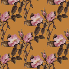 Charlotte Bronte's Wild Roses on Gold