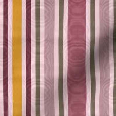 Charlotte Bronte's Wild Roses Moire Stripe