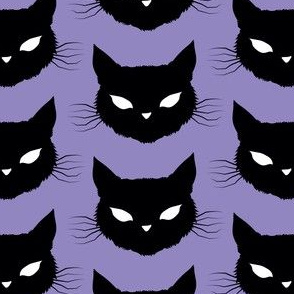 bats, cats, and spiders! cats