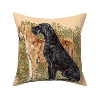 Black and Brindle Great Danes for pillow