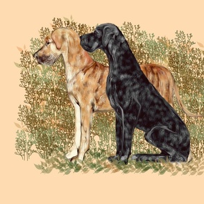 Black and Brindle Great Danes for pillow