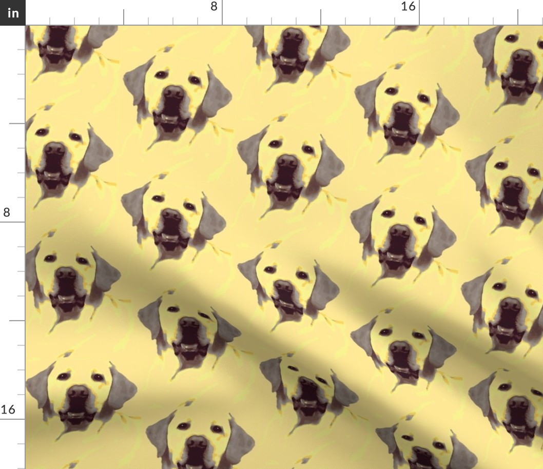 Labrador Retriever yellow