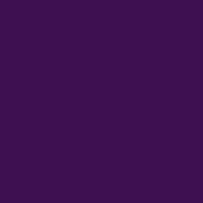 Aubergine Purple Solid