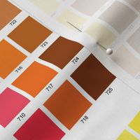 Pantone Coated Color Guide