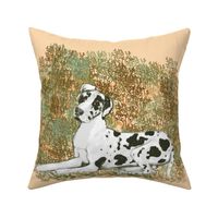 Harlequin Great Dane for Pillow