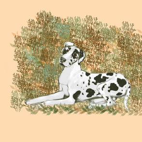 Harlequin Great Dane for Pillow