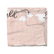 Welcome To The World Baby Blanket // Pale Pink Linen