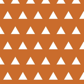 Triangles // Pantone 31-7