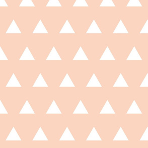 Triangles // Pantone 40-1