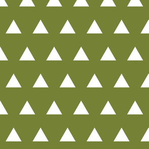 Triangles // Pantone 165-8