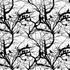 575005-fashion-vultures-in-black-white-by-peacoquettedesigns