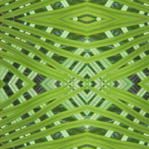 Large Fronds_weaving-