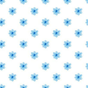 Forget-me-not 