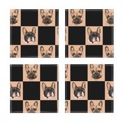 French Bulldog Checkerboard