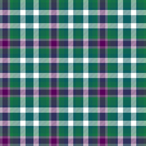 Virginia state tartan #1, 12" modern colors