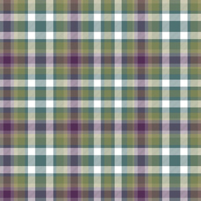 Virginia state tartan #1, 12" weathered