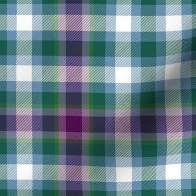 Virginia state tartan #2, 6" ancient colors