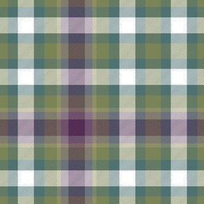 Virginia state tartan #2, 6" weathered