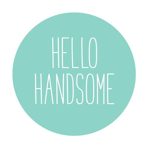 hello handsome mint mod baby » plush + pillows // fat quarter