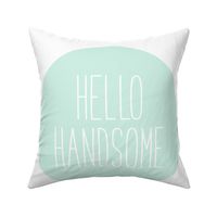 hello handsome mint light mod baby » plush + pillows // fat quarter
