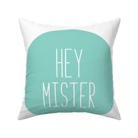 hey mister mint mod baby » plush + pillows // fat quarter