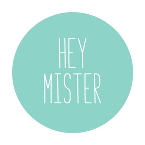 hey mister mint mod baby » plush + pillows // fat quarter