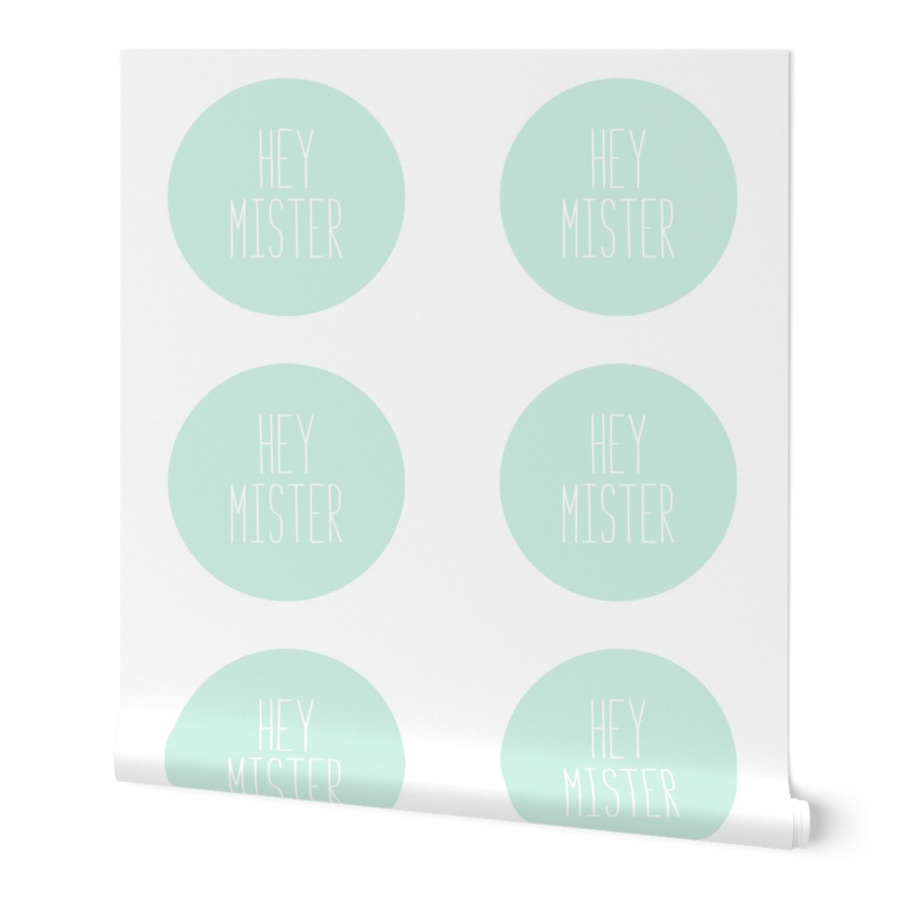 hey mister mint light mod baby » plush + pillows // fat quarter