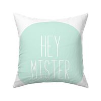 hey mister mint light mod baby » plush + pillows // fat quarter