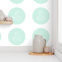 hey mister mint light mod baby » plush + pillows // fat quarter