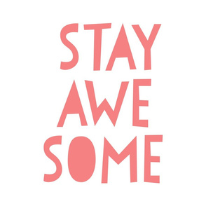 stay awesome coral mod baby » plush + pillows // fat quarter