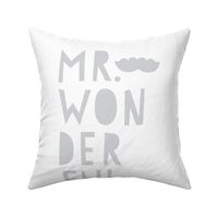 mr. wonderful grey mod baby » plush + pillows // fat quarter