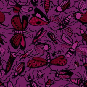 insects - purple