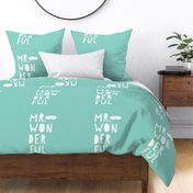 mr. wonderful white on mint mod baby » plush + pillows // fat quarter