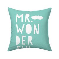 mr. wonderful white on mint mod baby » plush + pillows // fat quarter