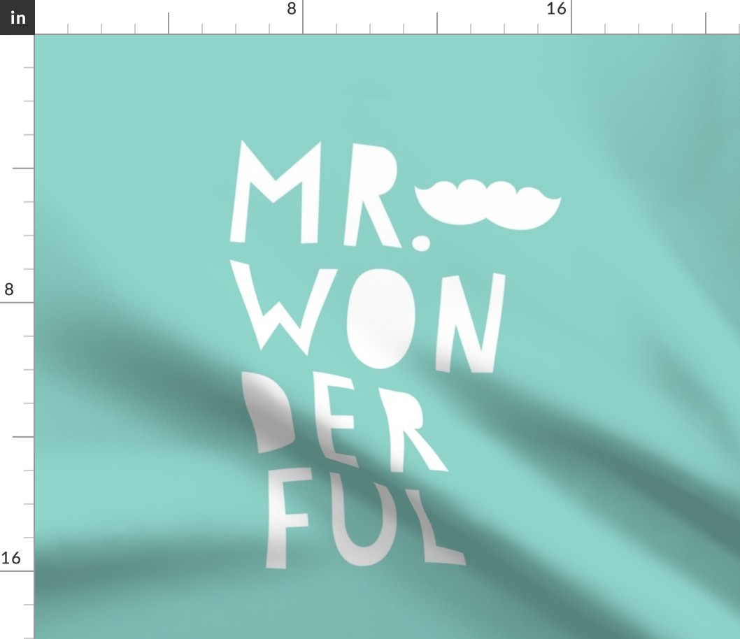 mr. wonderful white on mint mod baby » plush + pillows // fat quarter