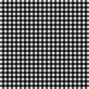 Graphic BW gingham smaller scale