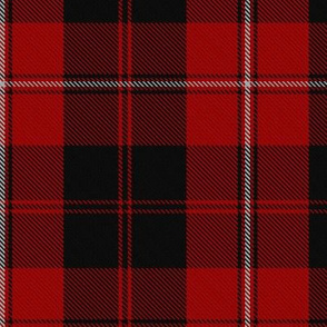 Cunningham #2 Tartan // Large