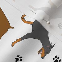 Trotting Doberman Pinschers and paw prints - white