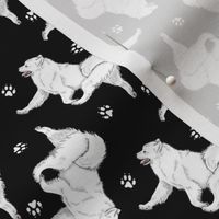 Tiny Trotting Samoyed and paw prints - black