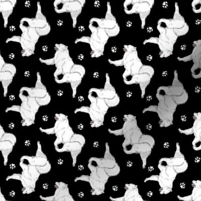 Tiny Trotting Samoyed and paw prints - black